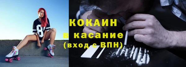трава Медвежьегорск