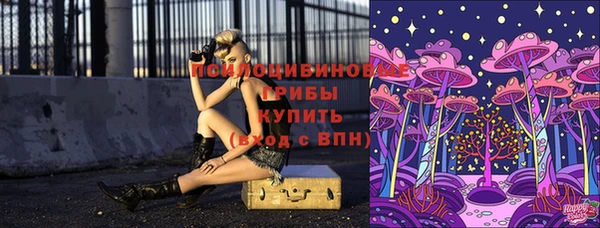 героин Инта