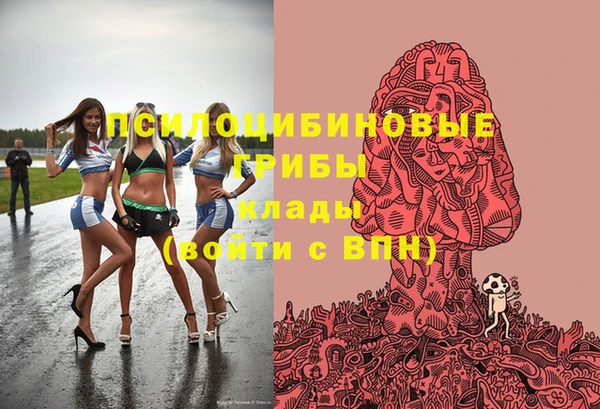 крисы Инсар