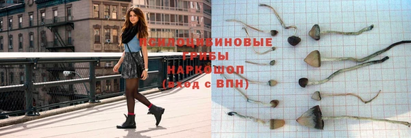 трава Медвежьегорск