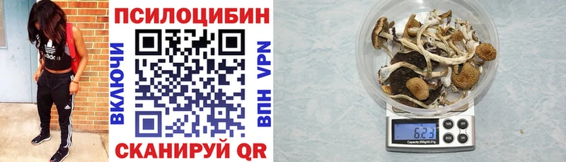 Псилоцибиновые грибы мицелий  дарнет шоп  Чухлома 