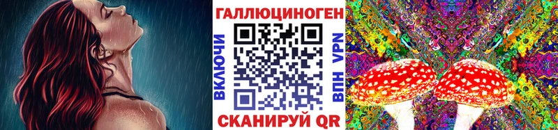 Псилоцибиновые грибы Psilocybe Чухлома